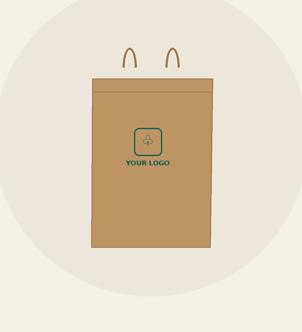 Food Takeaway Bags, angled view