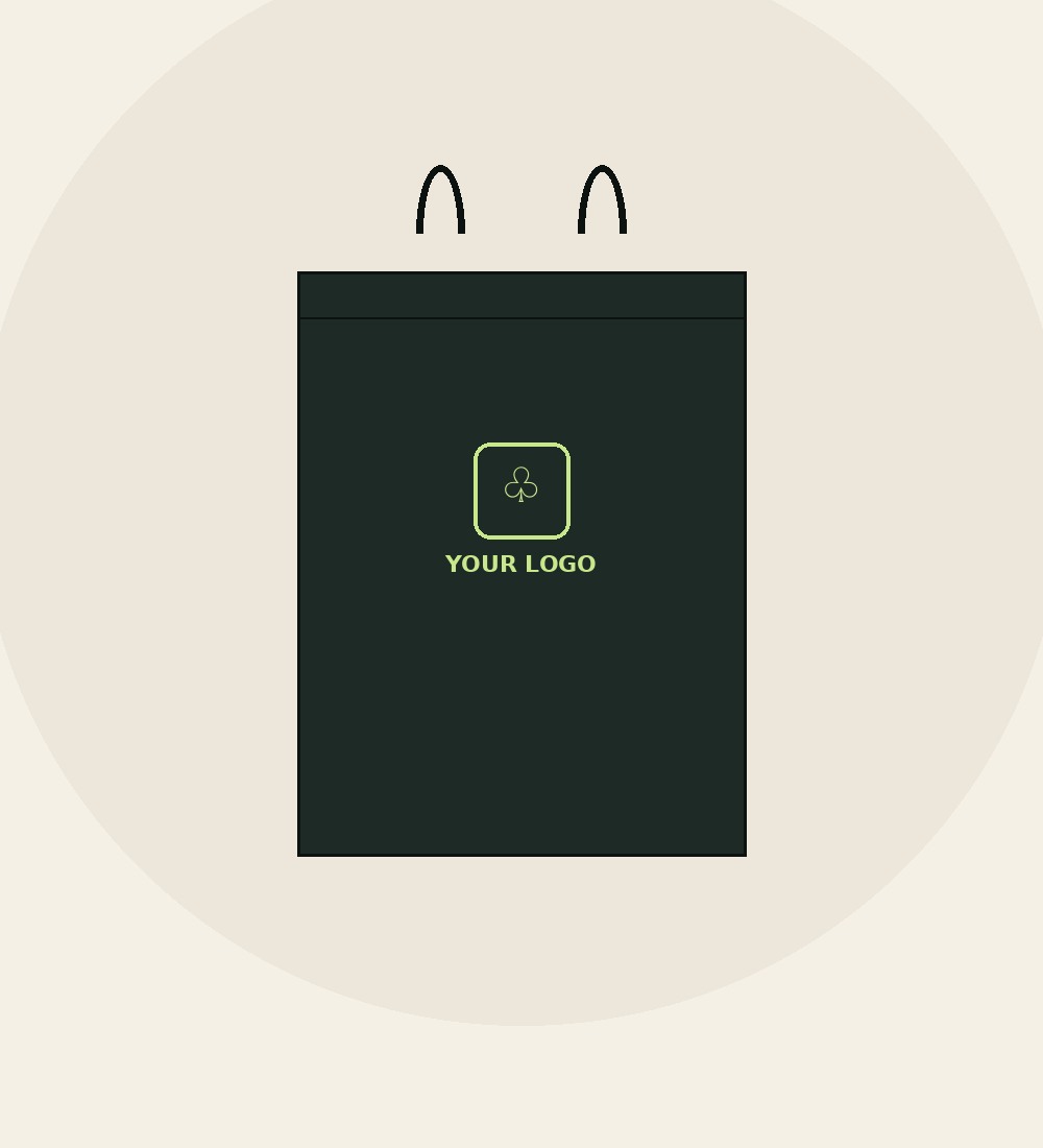 Luxury Paper Bags with logo, front view
